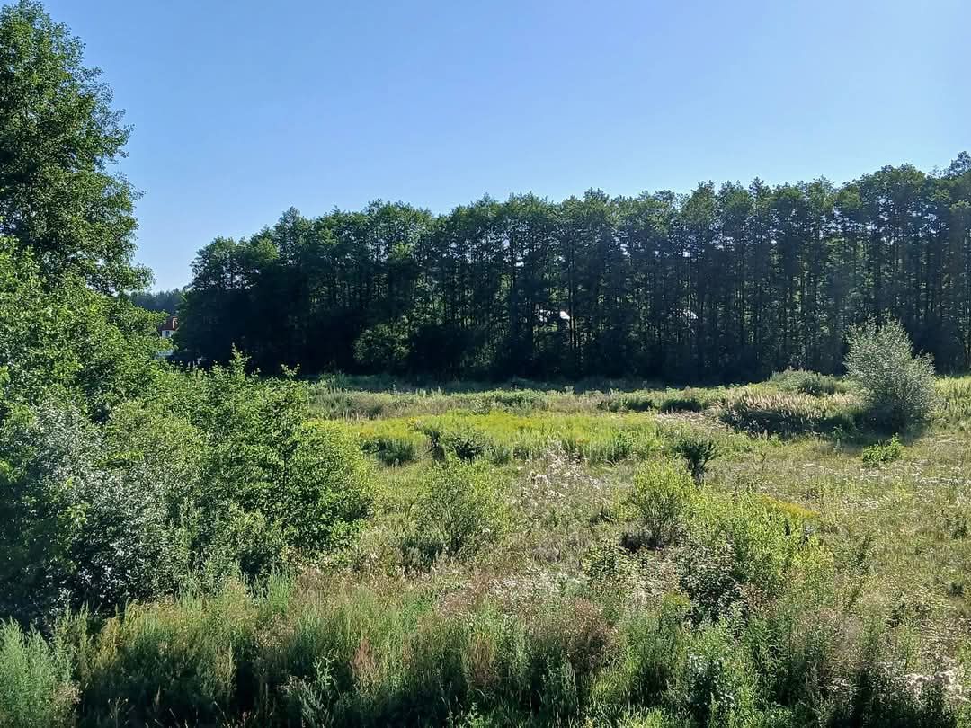 bliźniak, 4 pokoje Nowodworce. Zdjęcie 4