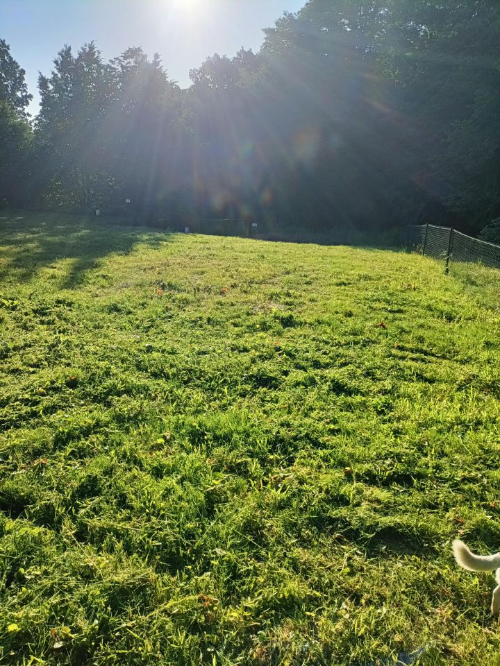 Działka rod Gdańsk Złota Karczma, ul. mjr. Mieczysława Słabego