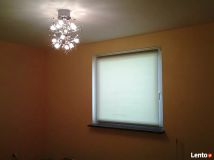 dom wolnostojący, 8 pokoi Łężki-Parcel. Zdjęcie 4