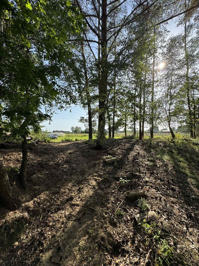 Działka rekreacyjna Golanka. Zdjęcie 17