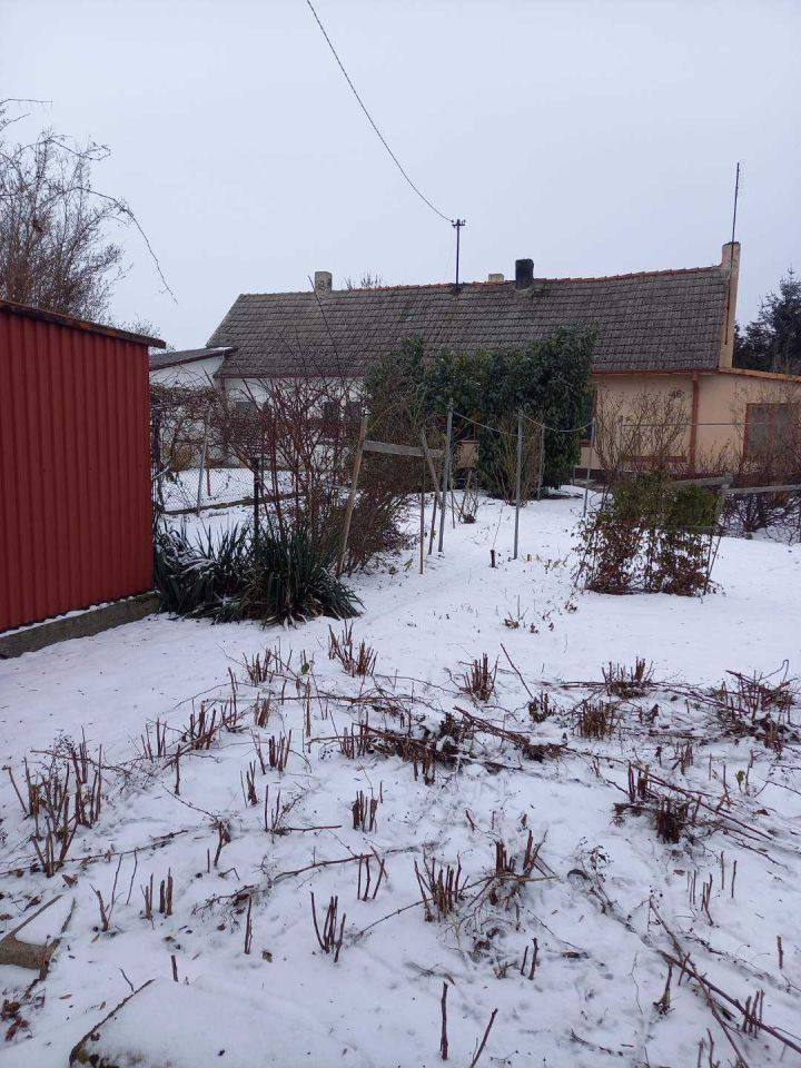 bliźniak Osięciny. Zdjęcie 5