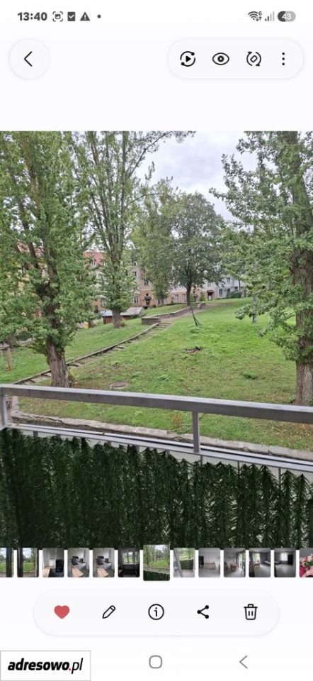 Zdjęcie 7