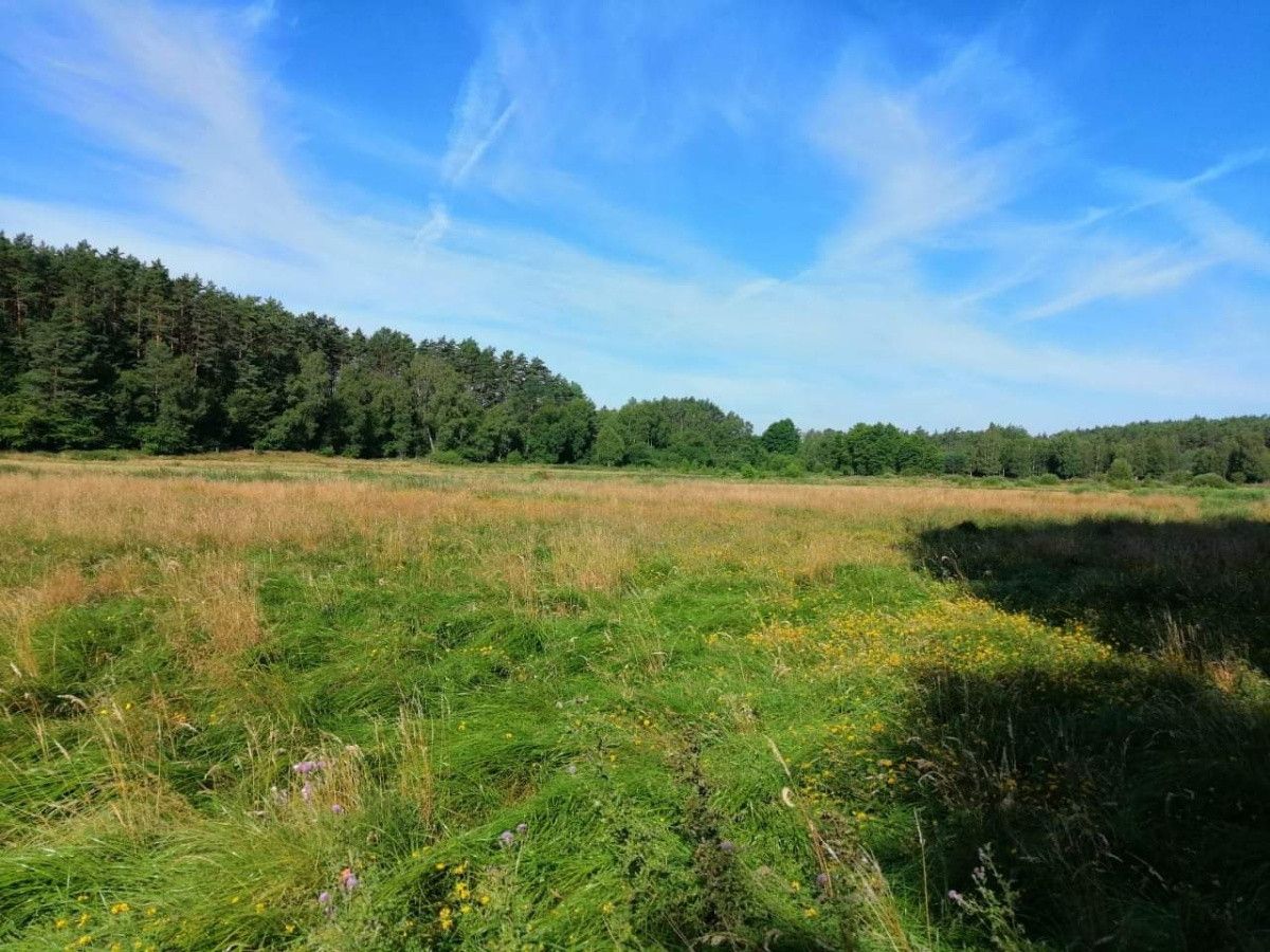 Działka rekreacyjna Wygoda. Zdjęcie 13