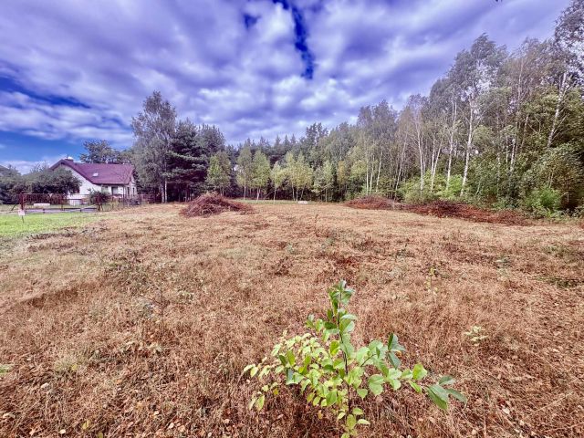 Działka budowlana Budziska. Zdjęcie 2