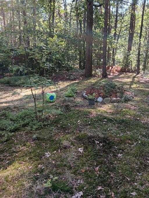 Działka leśna Zofiówka