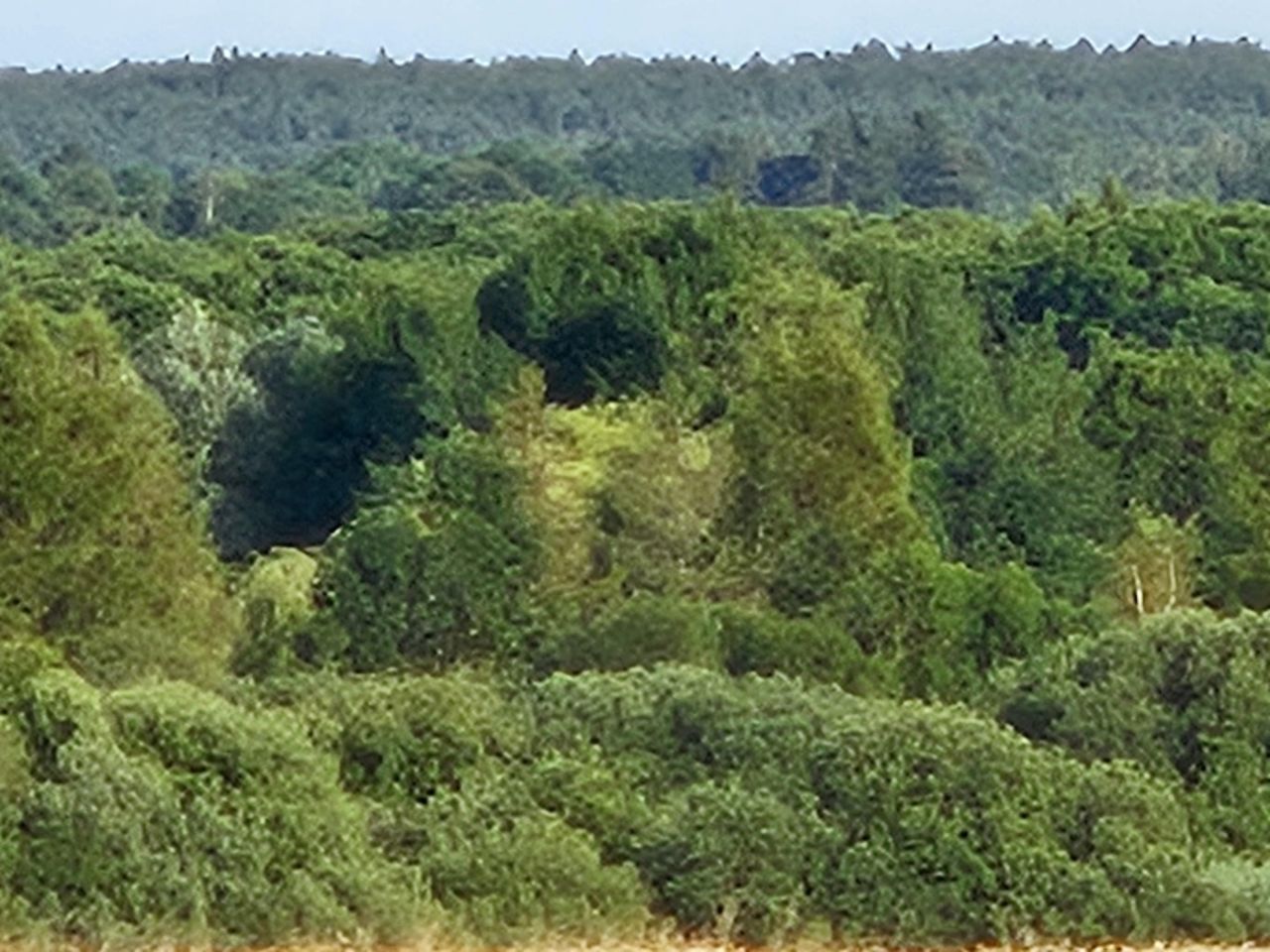 Działka rolna Koszalin Jamno, ul. Orlików. Zdjęcie 4