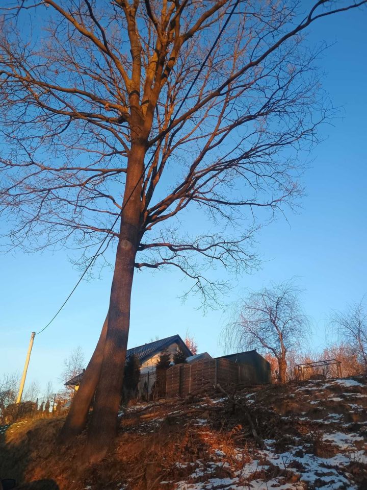 Działka budowlana Chrosna. Zdjęcie 3