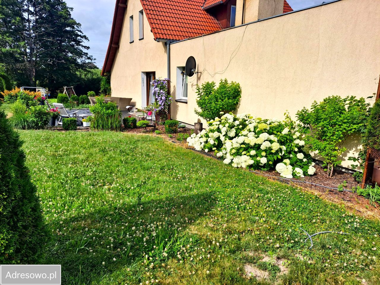 dom wolnostojący, 5 pokoi Zawonia, ul. Oleśnicka. Zdjęcie 3