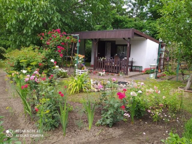 Działka rekreacyjna Leszno, ul. Łąkowa. Zdjęcie 1