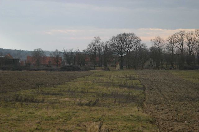 Działka rolno-budowlana Rogów Wołowski. Zdjęcie 1