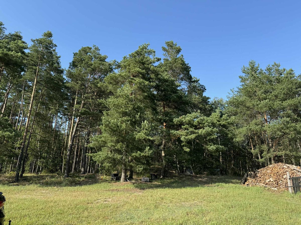 Działka rekreacyjna Golanka. Zdjęcie 8