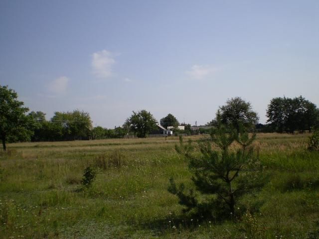 Działka rolno-budowlana Kaszewiec. Zdjęcie 7