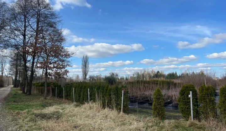 Działka rolna Kozery, ul. Objazdowa