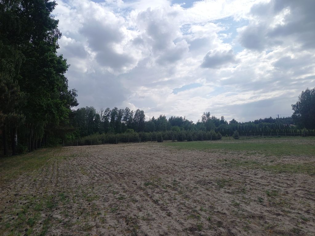 Działka inwestycyjna Wręcza. Zdjęcie 9