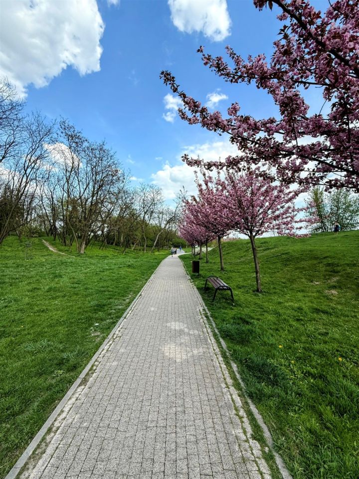 Mieszkanie 4-pokojowe Lublin Ponikwoda. Zdjęcie 4