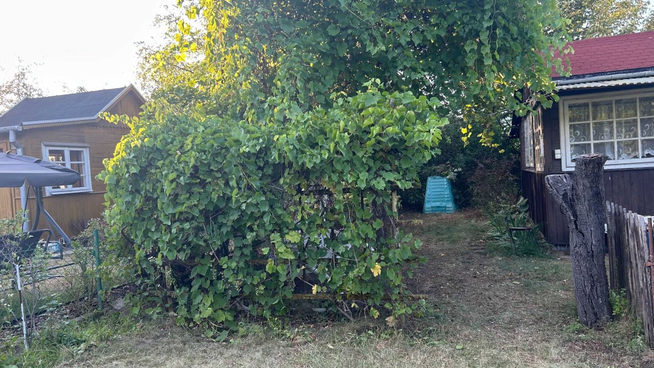 Działka rod Warszawa Targówek, ul. Ojca Aniceta. Zdjęcie 3