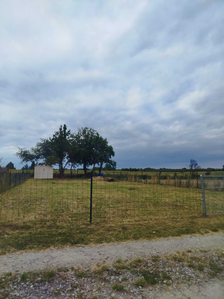 Działka rod Iłża. Zdjęcie 2