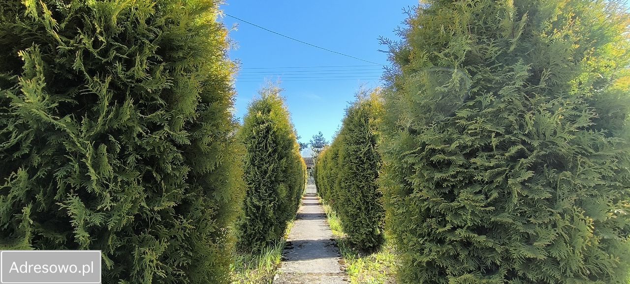 dom wolnostojący, 8 pokoi Skawina. Zdjęcie 16