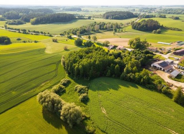 Działka rolna Taczki. Zdjęcie 2
