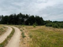 Działka rolna Łąkie, ul. Podstawowa. Zdjęcie 1