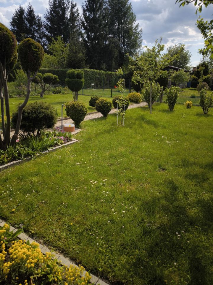 Działka rod Świdnica, ul. Deszczowa. Zdjęcie 8