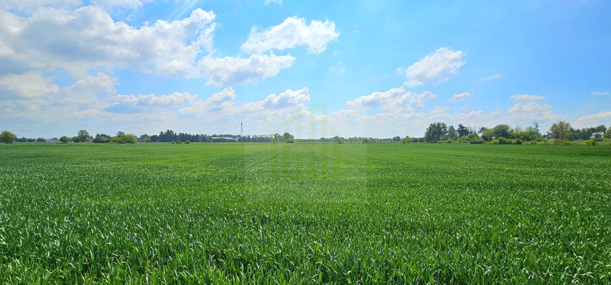 Działka budowlana Bieniewice, ul. Słowicza. Zdjęcie 13