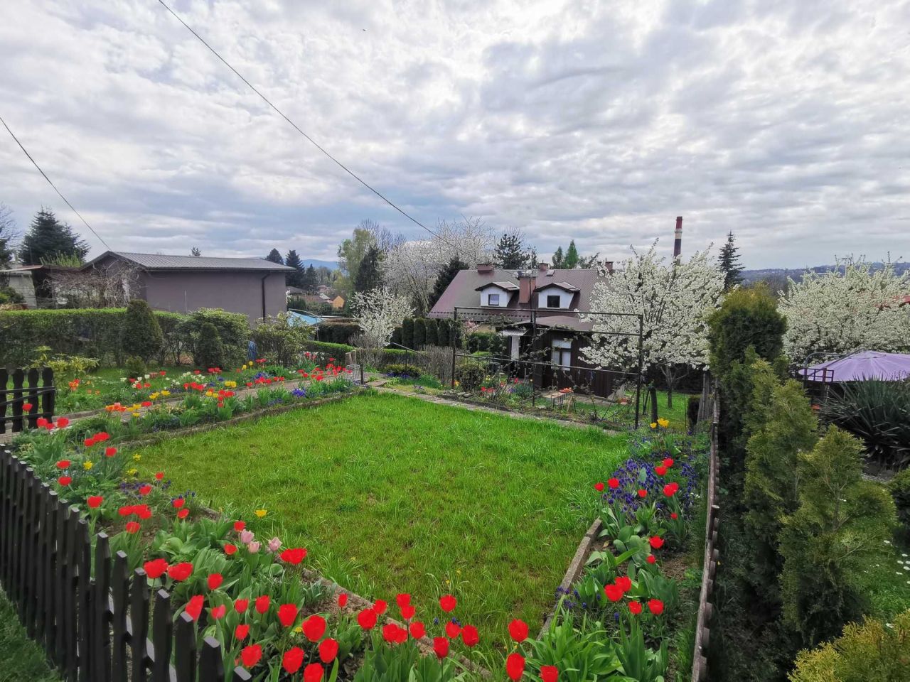 Działka rod Cieszyn. Zdjęcie 8