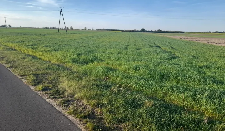 Działka rolna Posługowo
