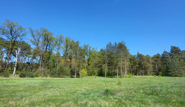 Działka budowlana Nowa Kuźnia