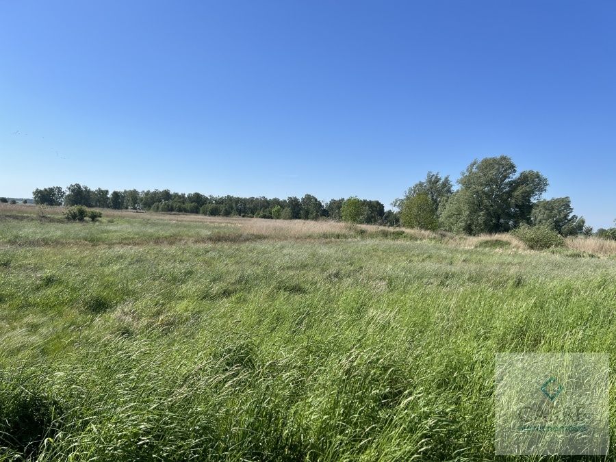 Działka rolna Zastań. Zdjęcie 3