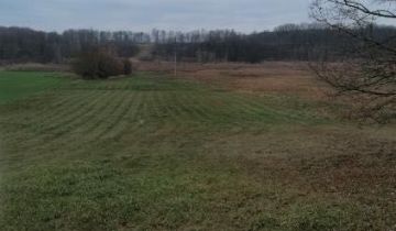 Działka siedliskowa Burowo