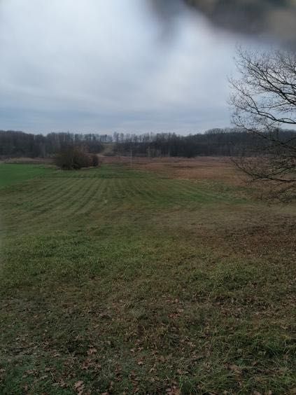 Działka siedliskowa Burowo