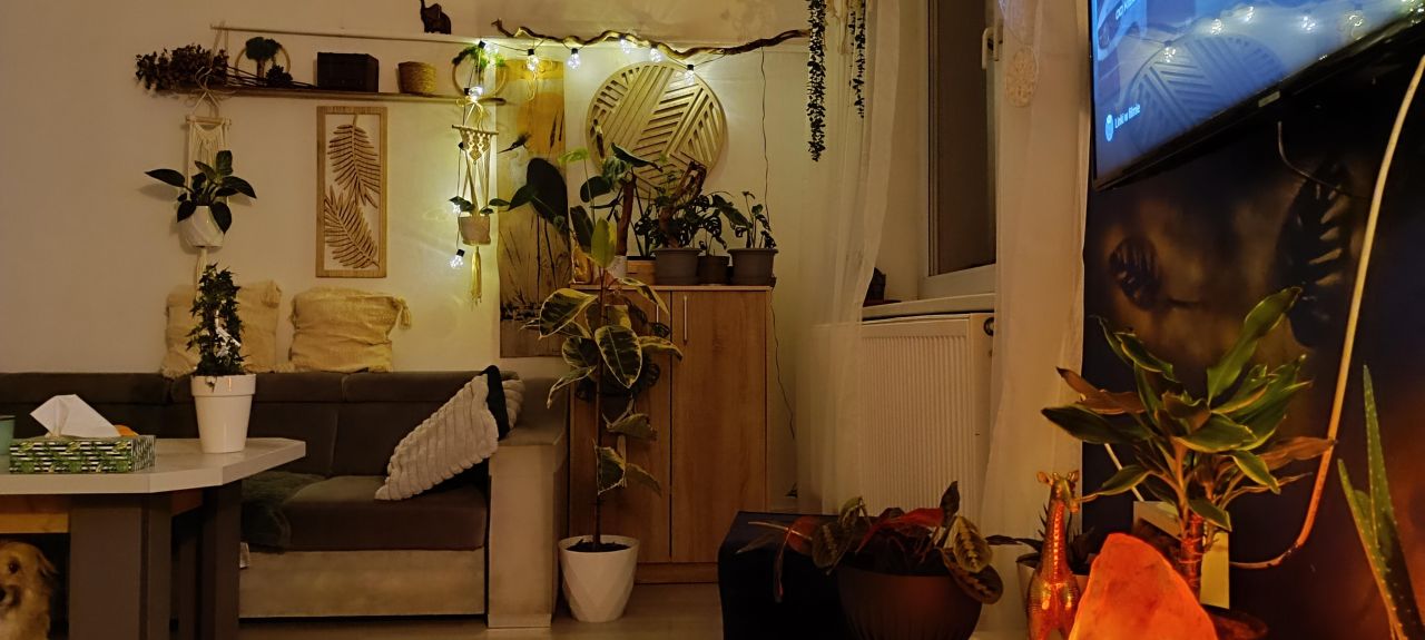 bliźniak, 3 pokoje Jarosław. Zdjęcie 16