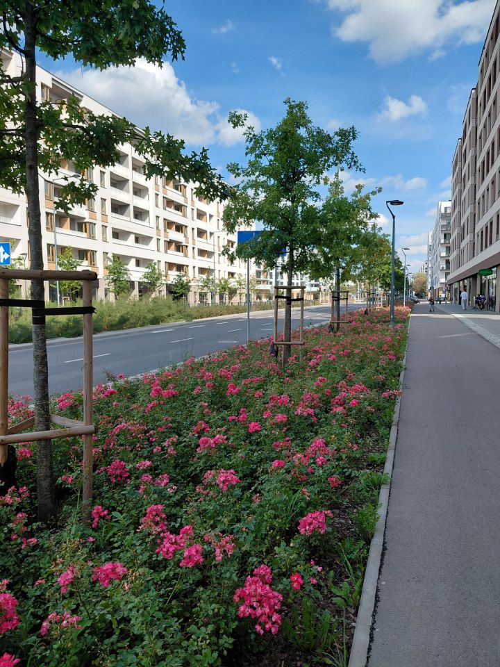 Mieszkanie 2-pokojowe Warszawa Bemowo, ul. Szeligowska. Zdjęcie 34