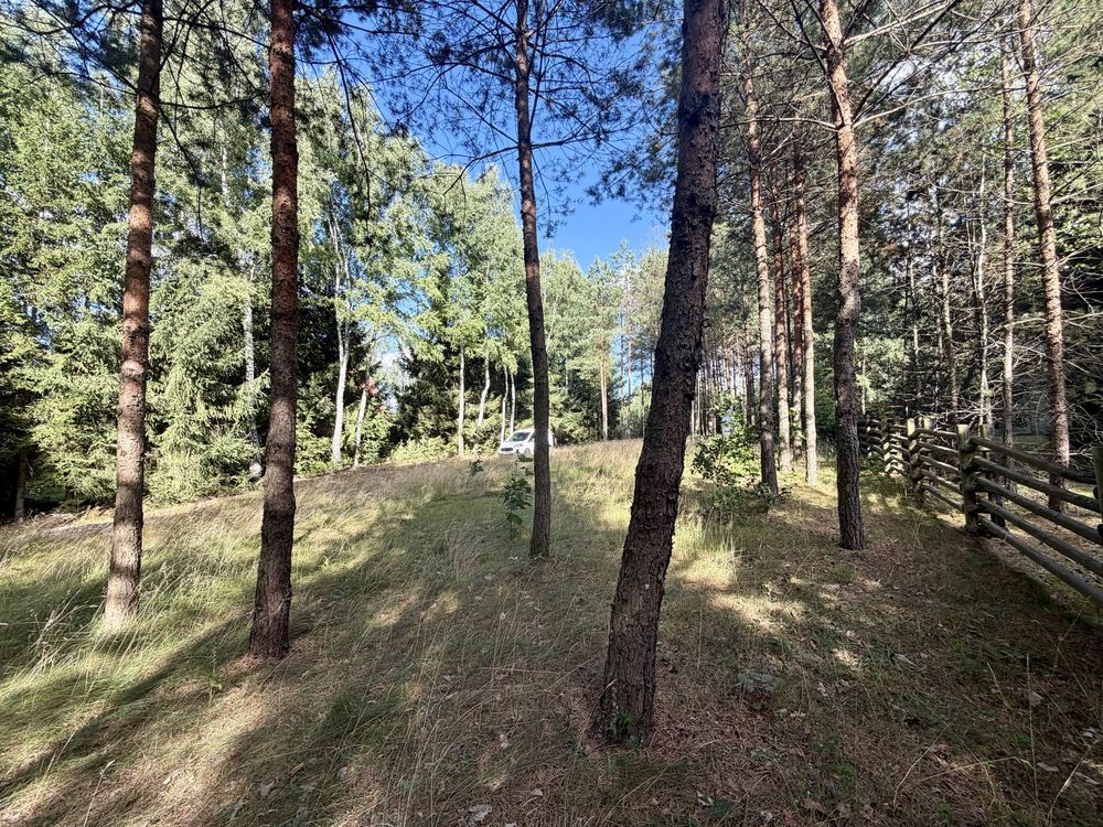 Działka rekreacyjna Borowy Młyn. Zdjęcie 4