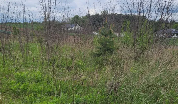 Działka budowlana Witanówek