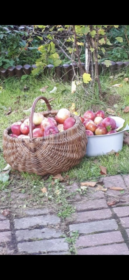 Działka rod Olsztyn Pieczewo, ul. Wisławy Szymborskiej. Zdjęcie 16