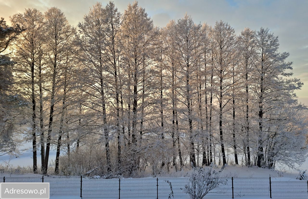 dom wolnostojący, 5 pokoi Potasznia. Zdjęcie 12