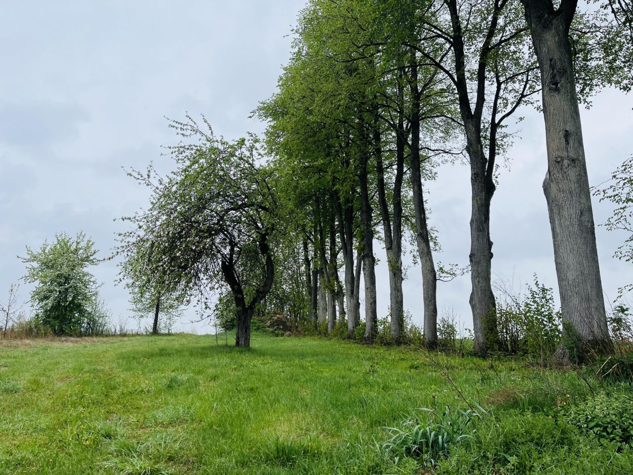 Działka budowlana Janówka. Zdjęcie 3
