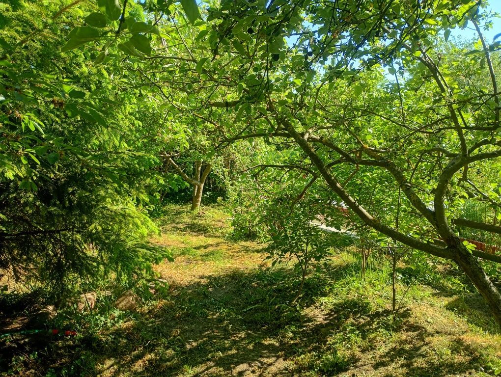 Działka rod Białystok Nowe Miasto, ul. Kanonierska. Zdjęcie 3