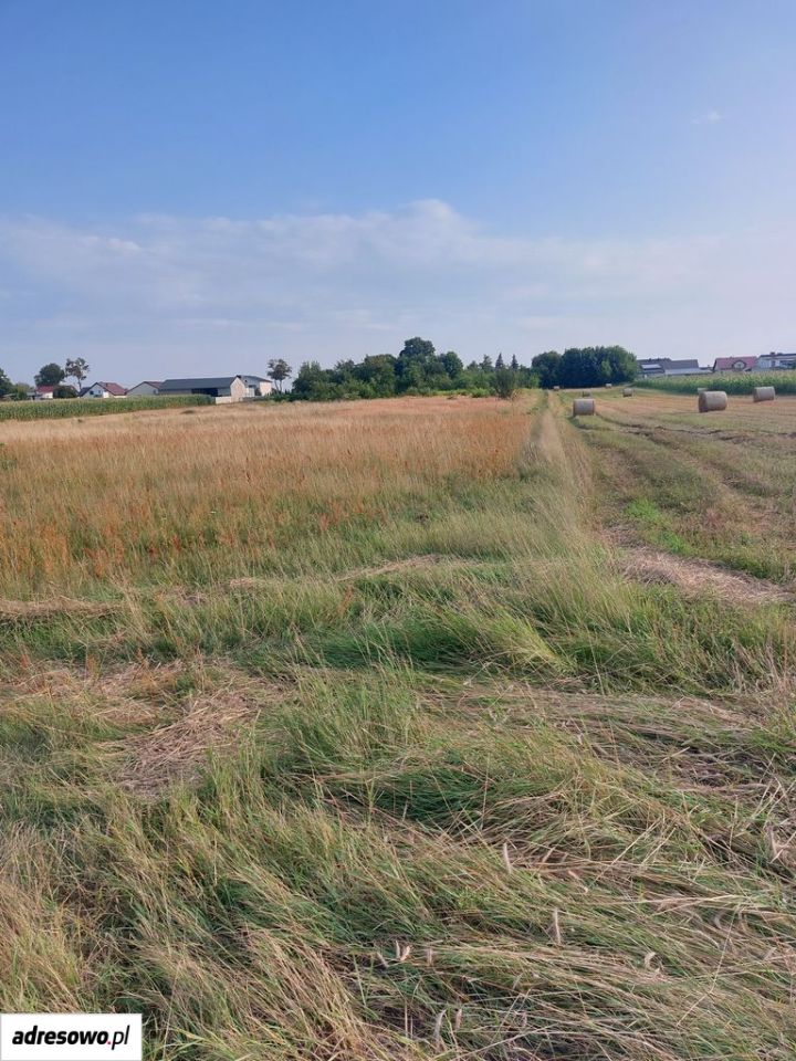dom wolnostojący, 2 pokoje Sieroszewice, ul. Ostrowska. Zdjęcie 6