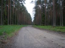 Działka budowlana Ostrowin. Zdjęcie 4