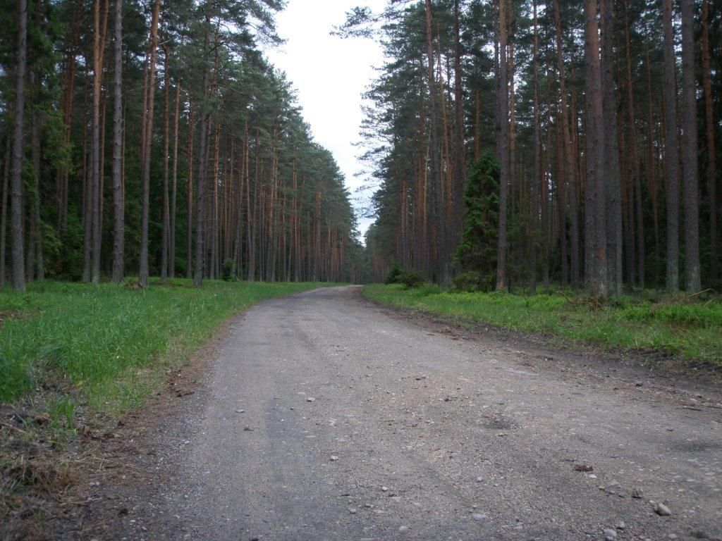 Działka budowlana Ostrowin. Zdjęcie 5