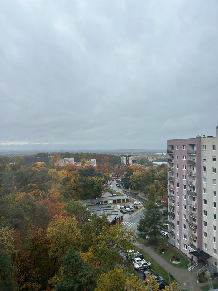 Mieszkanie 2-pokojowe Zielona Góra Przyjaźń, ul. Francuska. Zdjęcie 4