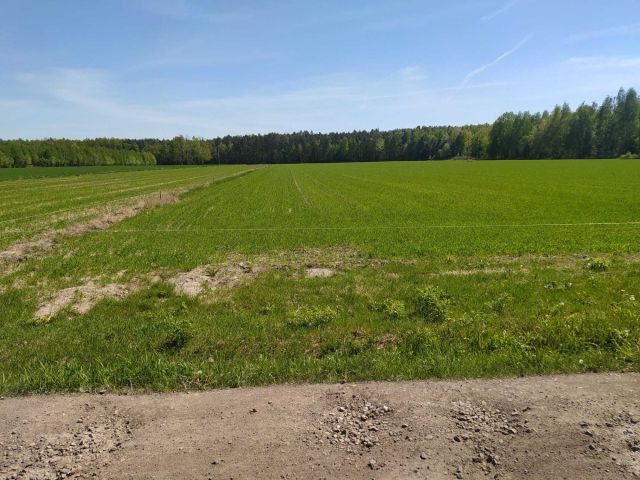 Działka rolna Lubowidza. Zdjęcie 1