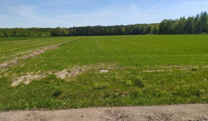 Działka rolna Lubowidza