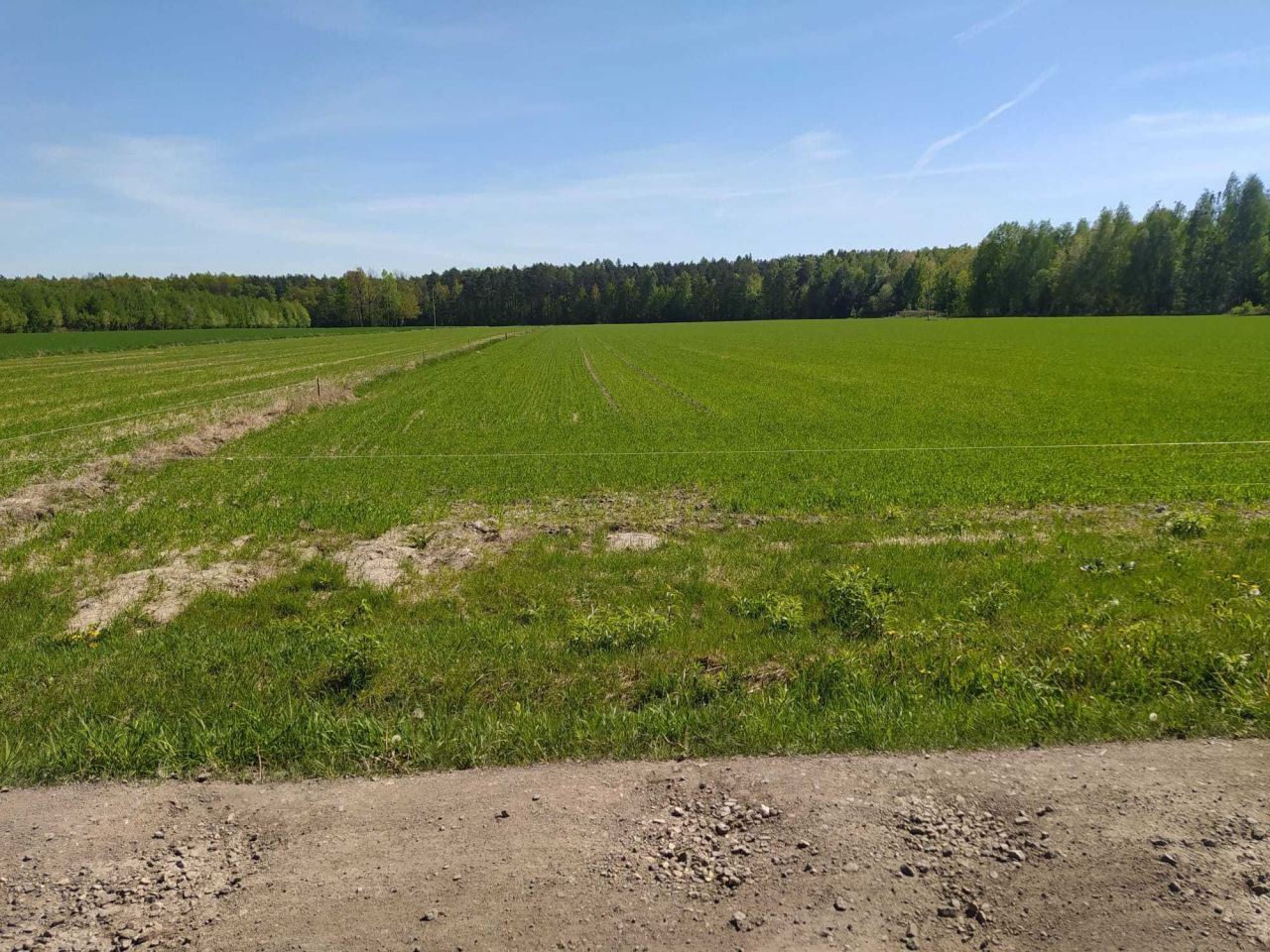 Działka rolna Lubowidza