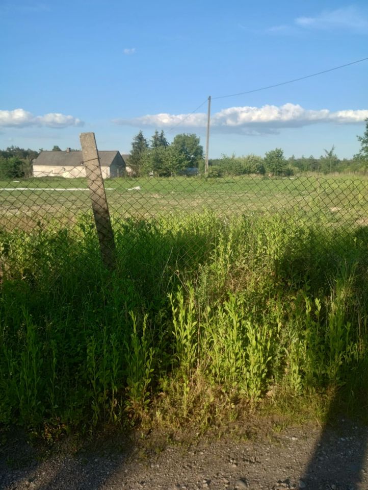 Działka rolna Wola Worowska. Zdjęcie 7