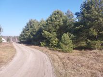 Działka rolno-budowlana Czersk Świecki. Zdjęcie 2