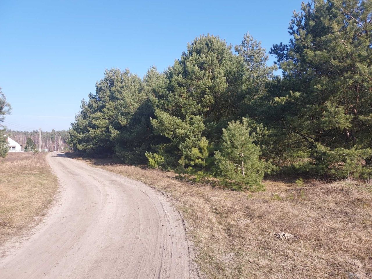 Działka rolno-budowlana Czersk Świecki. Zdjęcie 3